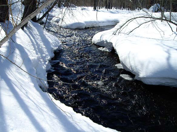 Камчатка. Река в снежных берегах. Для возврата на страницу фотоальбома, щелкните на рисунке.